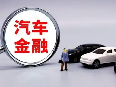 岭东押车贷款不是本人可以么?